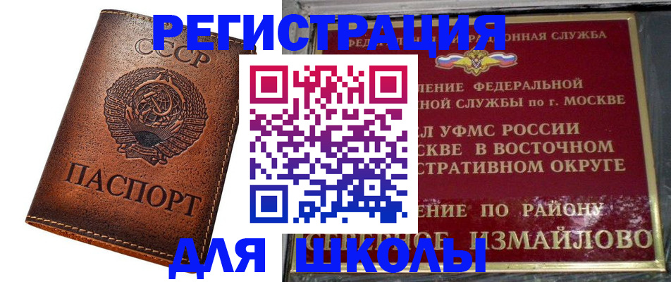 прописка в Ельне